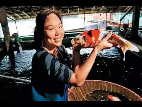 最牛養魚人：26歲欠債2億，她從清華輟學養魚，一條賣了1500萬 財經 第2張