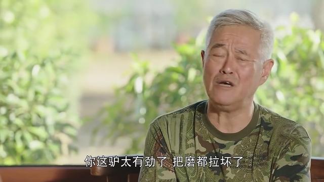 乡村爱情11王大拿以进为退网友对待爱捣蛋的员工就得这样