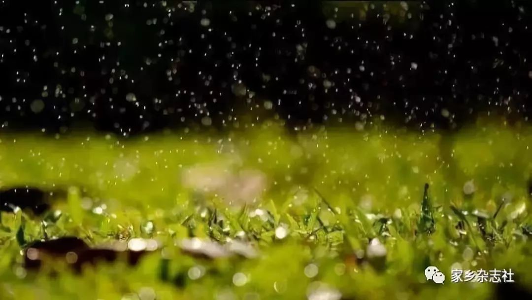 《家乡》杂志来稿选登·诗歌:大自然的雨(外一首)丨泽