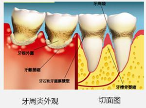 cfe2318805004ec981500db10f215926.jpeg