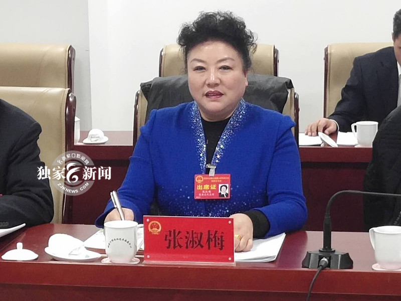 两会声音:访市人大代表,市女企业家协会会长张淑梅