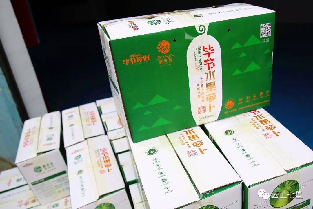 不得了毕节100000斤大白萝卜出口迪拜