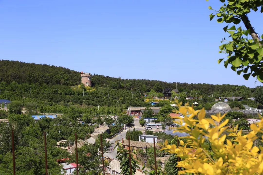 季 青山环绕风景秀丽,七彩南山景区,太空馆,蝴蝶馆,淘金沟,松树山