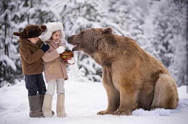 棕熊被主人收留26年，無以為報，生個熊孩子給主人玩吧 未分類 第5張