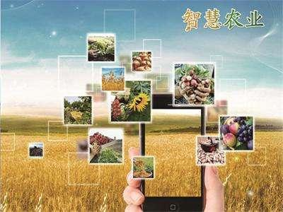 亚新体育智慧农业物联网 智能温室大棚环境监控系统 智慧农业云平台(图1)
