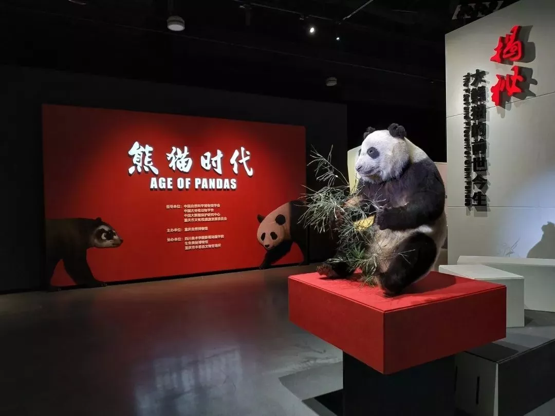 上新了博物馆:2019年全国博物馆展览及活动预告