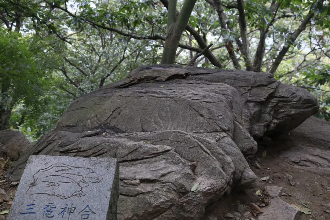 什么是佩奇呀花果山上的石头