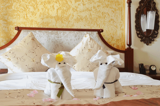 时光:最自在的温馨 走进房间,床上用毛巾叠起来的小天鹅,大象简直