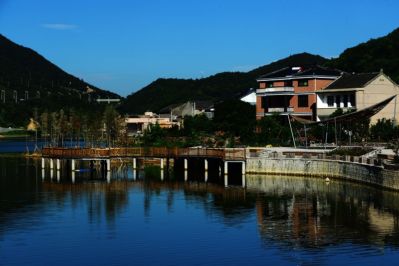 青山绿水环绕的舟山市定海区金塘岛上山潭社区树弄村尽显生态之美.