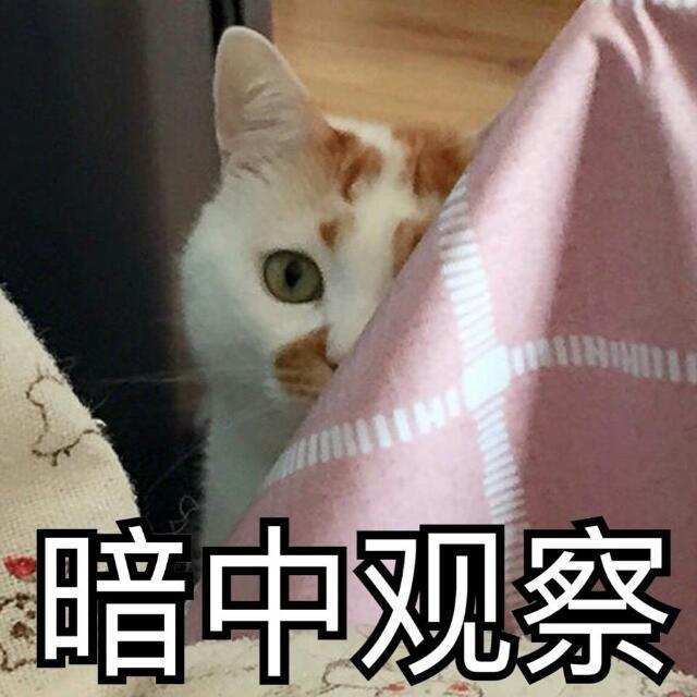 暗中观察