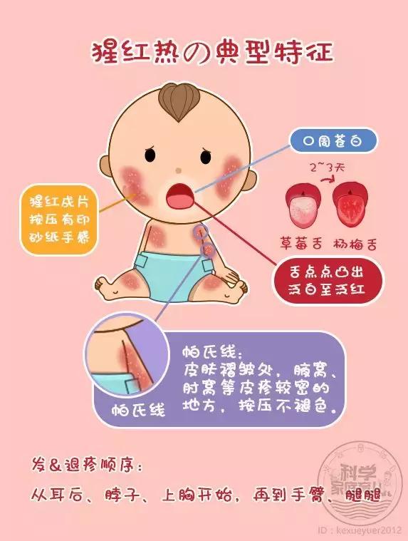 不是所有发烧出疹都是幼儿急疹!这种情况必须尽快就医