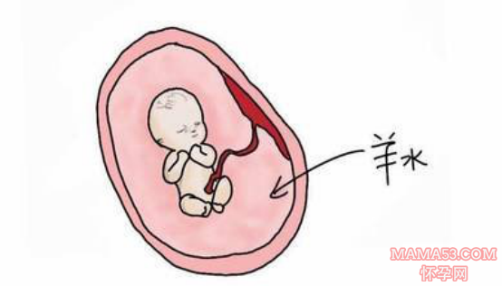 怀孕中期孕妇不喝水对胎儿有什么影响_水分