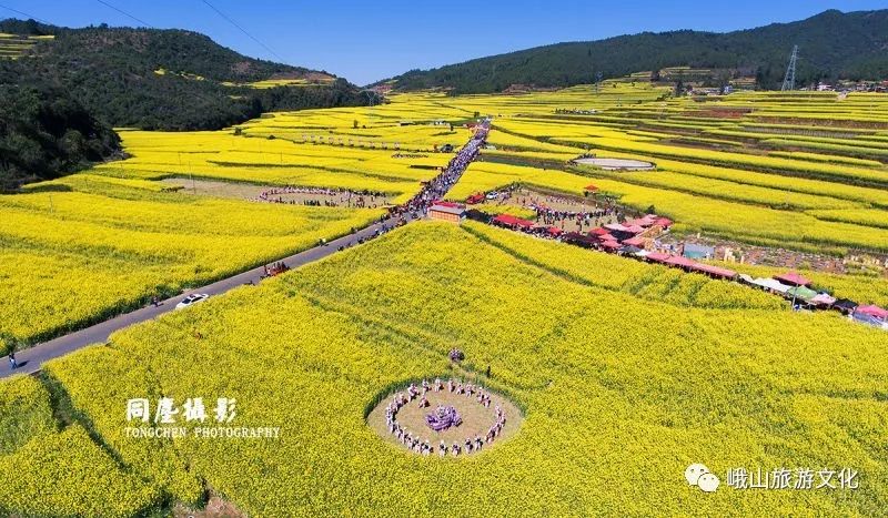 2月2日—2月20日 峨山县2019年油菜花暨开新街文化旅游节等你唻果咧!