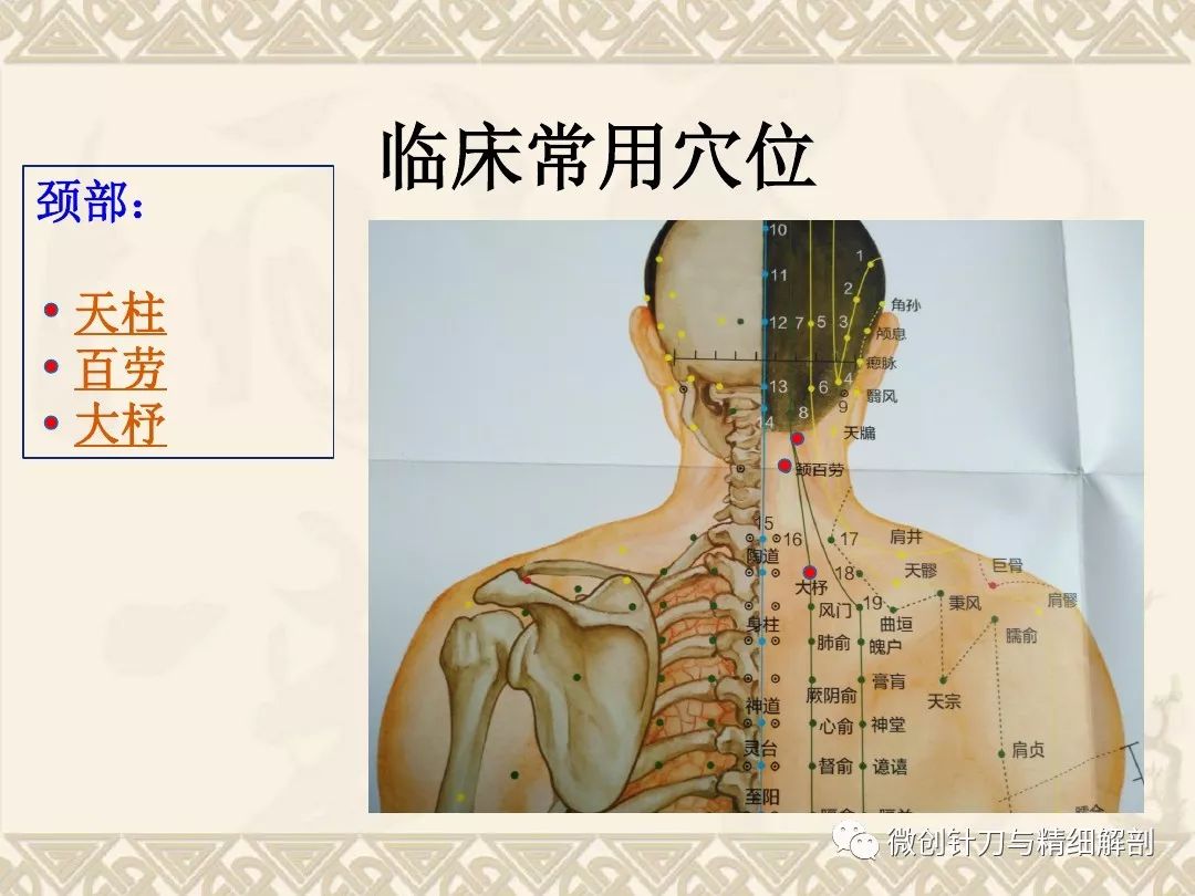 颈肩腰腿痛的常用穴位详解