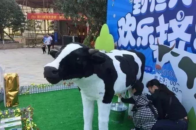 还能亲自体验挤牛奶