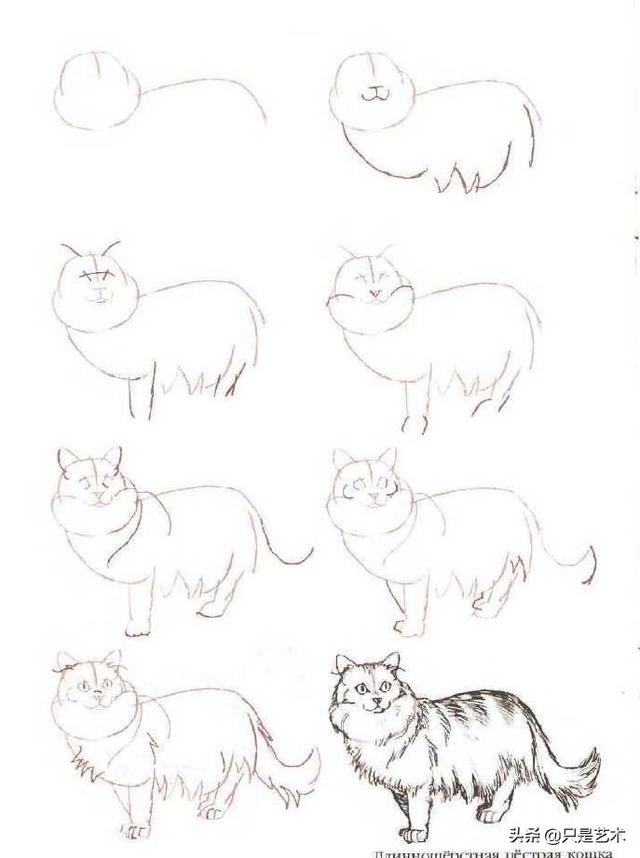 猫咪怎么画,看这里就对了,超详细的猫咪简笔画教程
