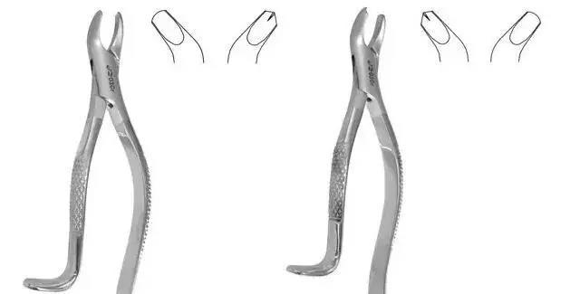 牙医干货丨9种常用拔牙钳图文讲解