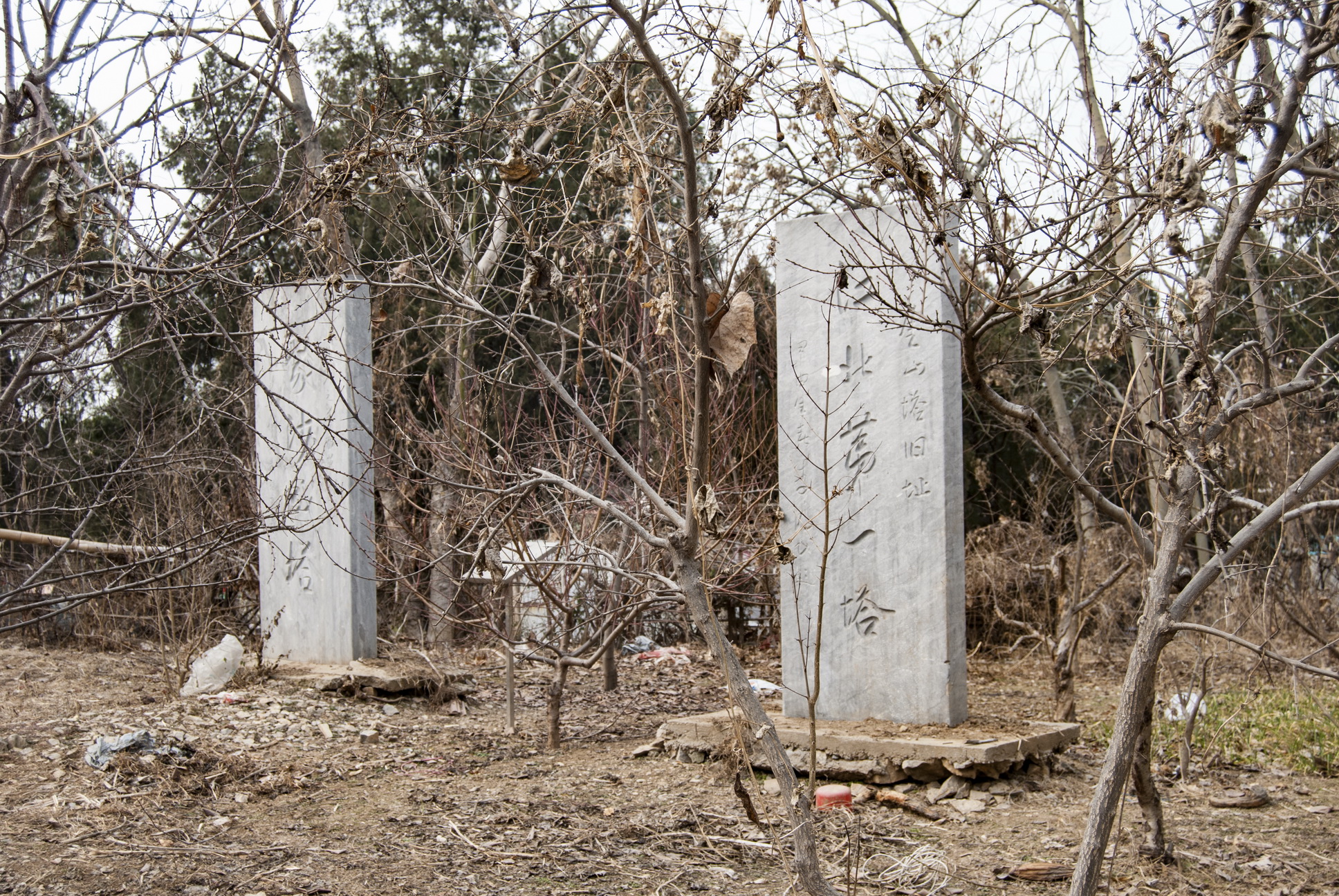 春节前夕游览奎山社区看民居逛菜场寻找奎山塔参观马神庙