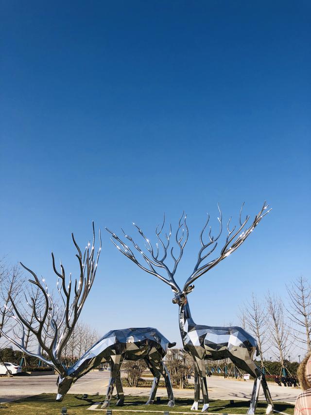 惊艳!许昌鹿鸣湖畔体育公园又跑来了几头梅花鹿,快去欣赏