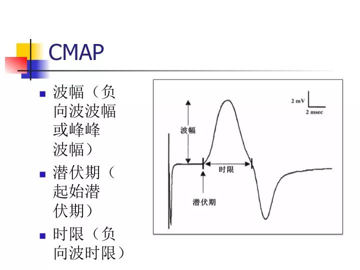 肌电图常识和应用基础