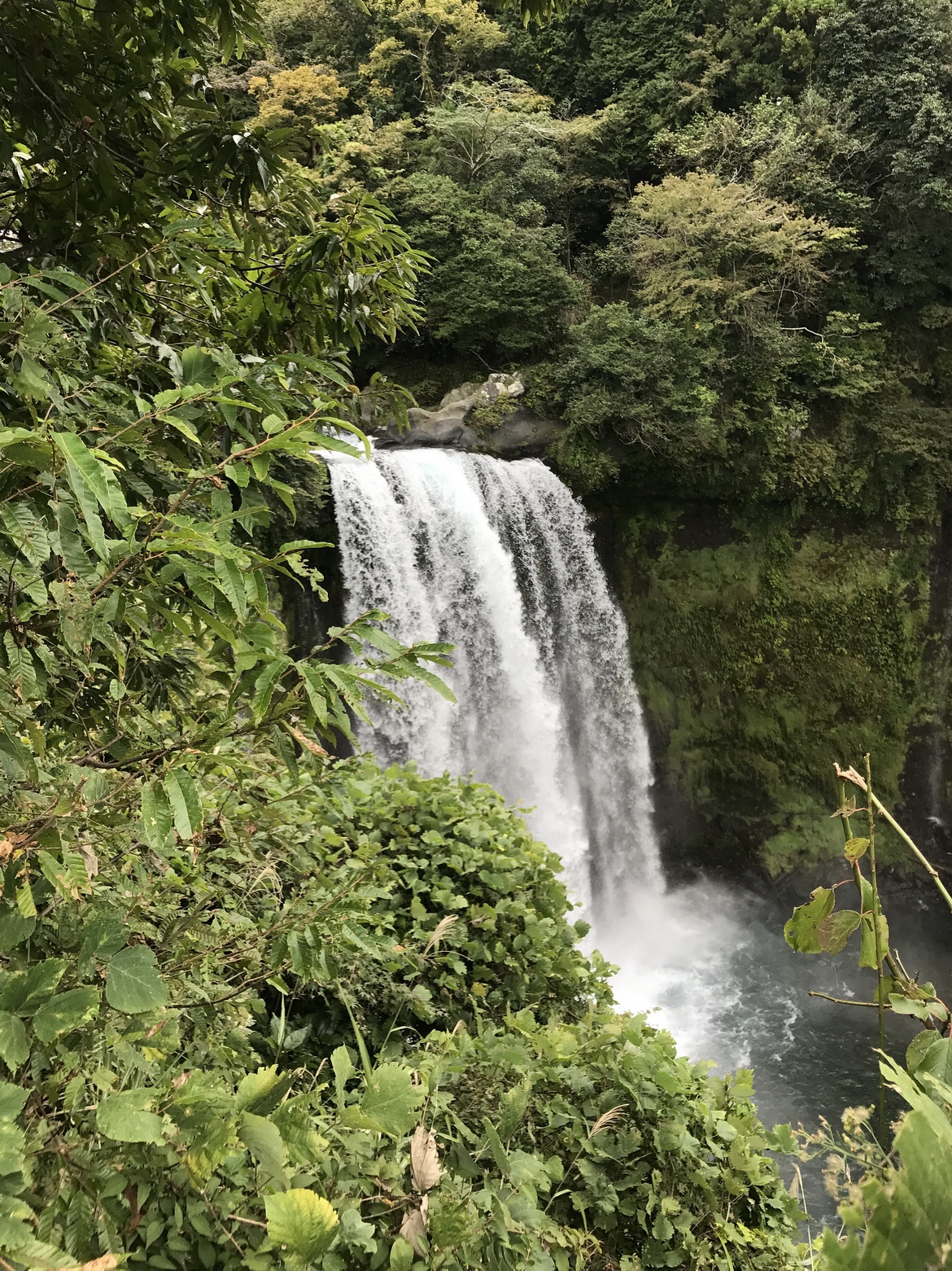 路線推薦# 日本騎行必備路線 富士山環線最全解鎖攻略 旅遊 第20張