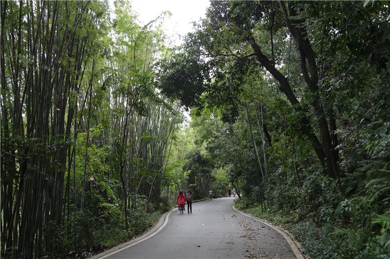 白云山风景名胜区分为七个游览区,即:明珠楼游览区,摩星岭游览区,鸣春