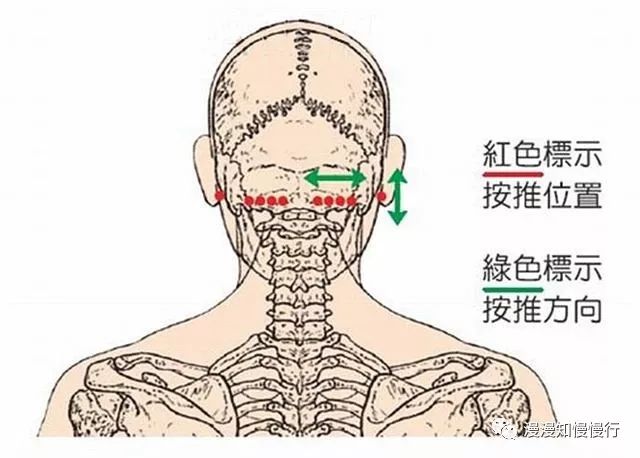 原始点疗法手法头部