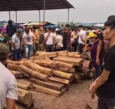 大红酸枝，别再开口问一吨多少钱了