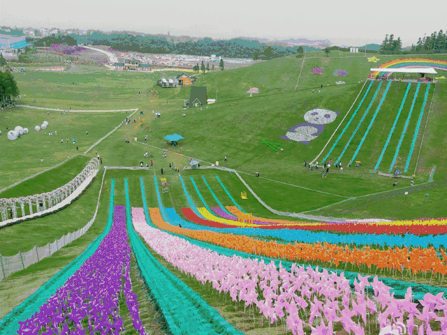 【春节亲子·含福利】2月8日(初四)畅游湖州最大的滑草场,百变气球节
