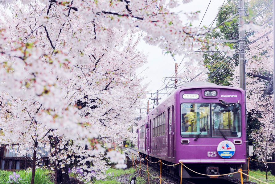 日本2019年总人口是多少_日本2019年新人下海