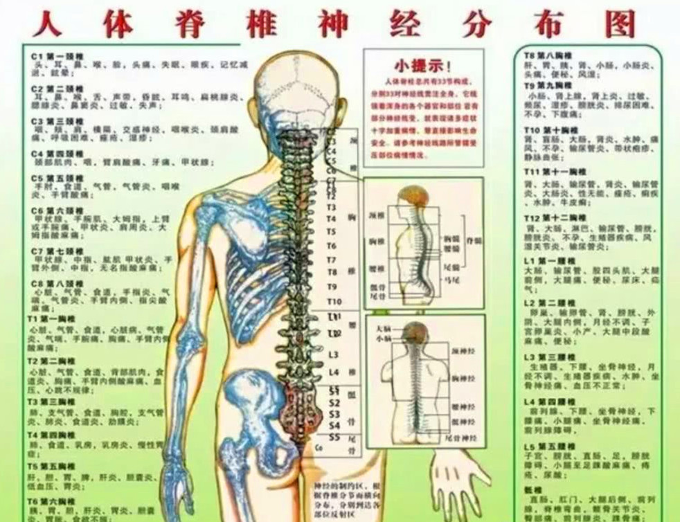 科学研究证实:人体80%以上的慢性疾病真正原因是脊椎错位引起的