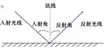 光的反射和折射 折射率