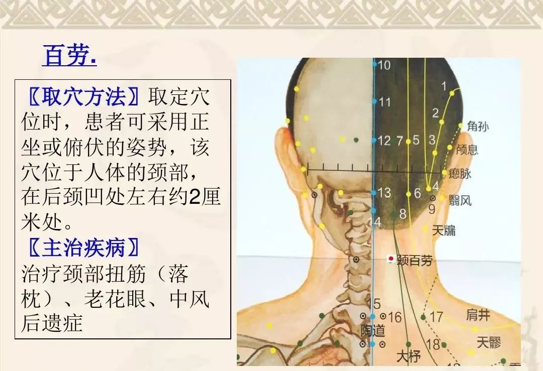 颈肩腰腿痛的常用穴位详解