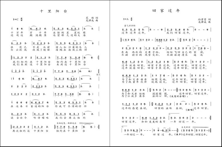 二胡曲谱祖籍陕西韩城县独奏_陕西韩城入城口