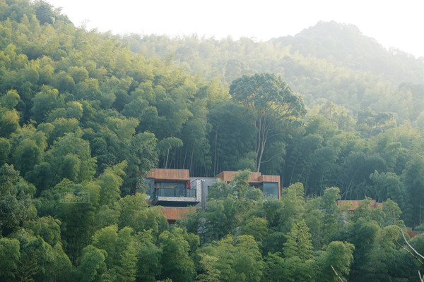 在密密竹林的掩映下,这些别墅就慢慢化入这大自然里.