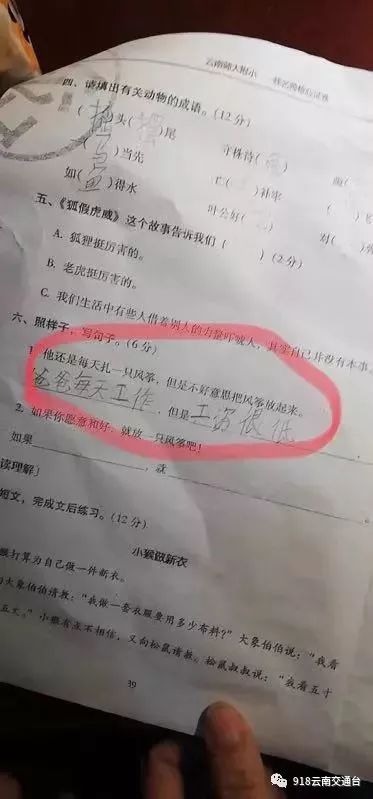 笑出內傷，紅河一小學生「奇葩」造句火了，爸爸已經哭暈在廁所！ 搞笑 第3張