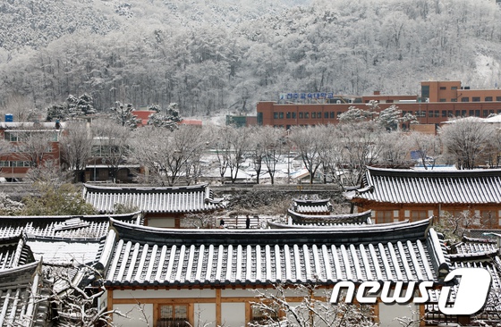 【組圖】全北韓屋村飄雪 浪漫與古色共存 國際 第2張