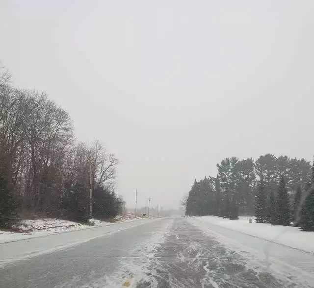 高齡老狗被困雪地里，兩個星期後竟奇跡生還…… 寵物 第1張