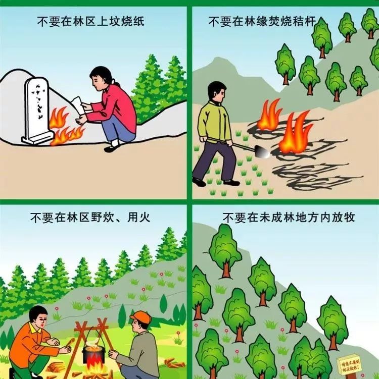 春节将至,森林防火这事.你应该这么做!