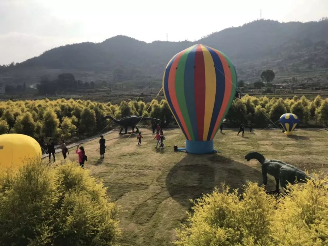 丰农生态园 文成的后花园 冬日里最暖的户外场地 这里有草莓,有花香