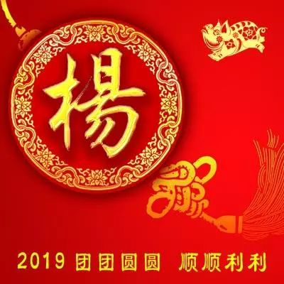 姓氏头像2019新年财源滚滚喜庆版;整整102张!你的姓氏