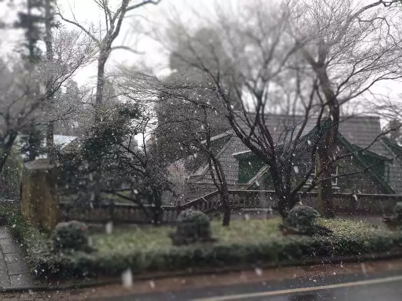 湖州又双叒叕下雪啦!