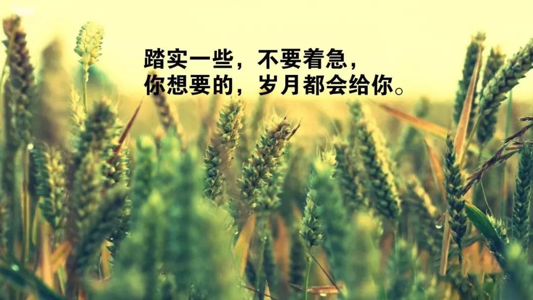 早晨经典 踏实一些,不要着急,你想要的,岁月都会给你.