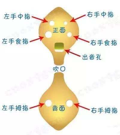 6孔陶笛曲谱入门(3)