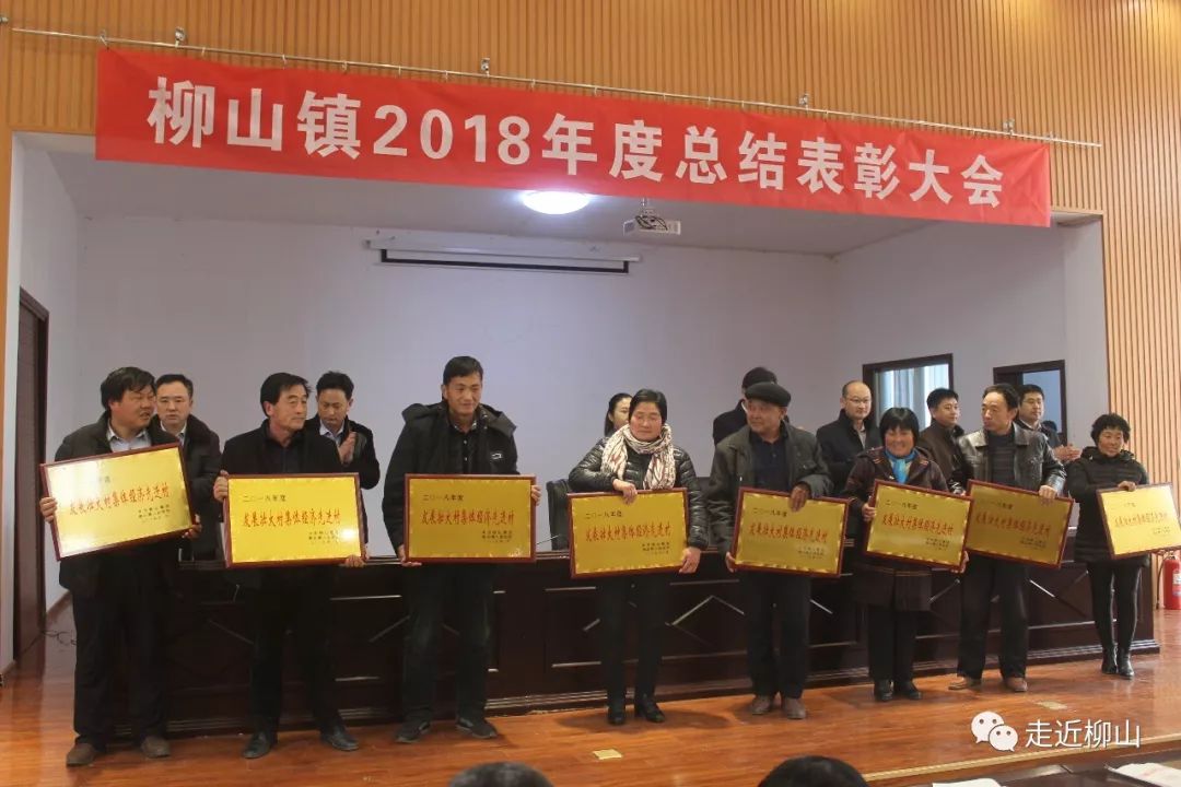 柳山镇召开2018年度总结表彰大会