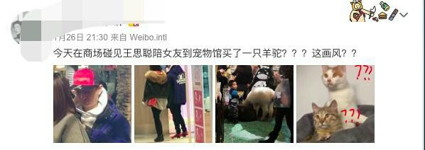 原創 趙子易連續6年不下線，王思聰給她買完熊貓又買羊！網友：真愛！ 娛樂 第7張