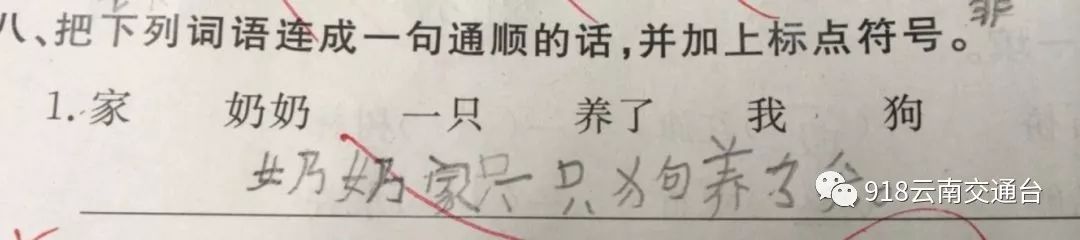 笑出內傷，紅河一小學生「奇葩」造句火了，爸爸已經哭暈在廁所！ 搞笑 第19張