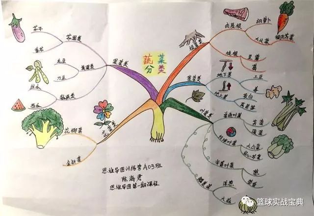 人人都能学会,让大脑威力倍增的20堂思维导图课