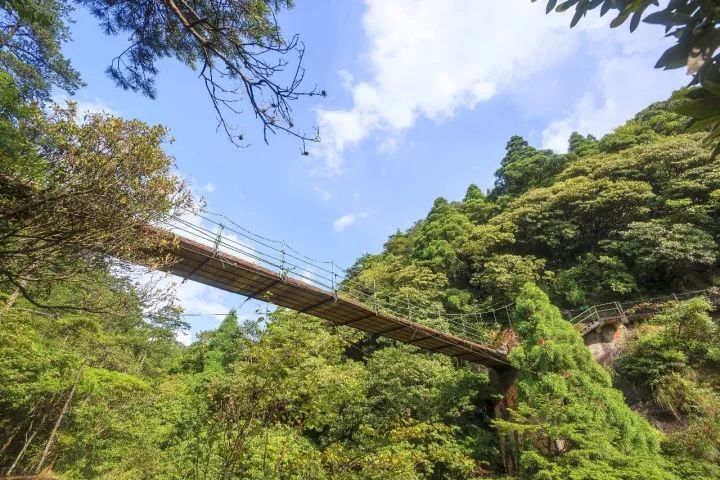 丽水这2条空中路,比张家界玻璃栈道还惊险刺激!这个春节你敢约吗?