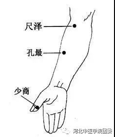 (4)尺泽(可加合谷,列缺)